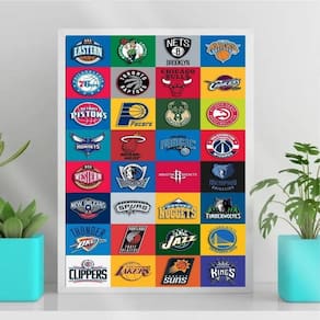 Quadro Decorativo Basquete Times 33x24cm - Vidro Branca