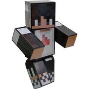 Boneco r Problems Minecraft Articulado - 25 cm Algazarra