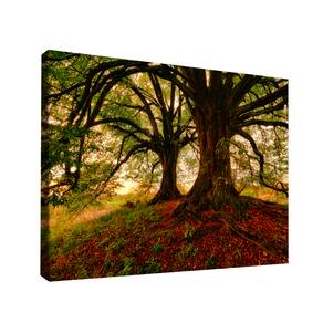 QUADRO DECORATIVO ÁRVORE MEU ESCONDERIJO Médio 84x54