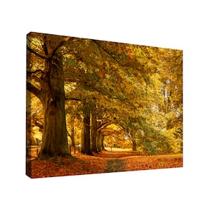 QUADRO DECORATIVO CENÁRIO DE OUTONO Pequeno 60x40