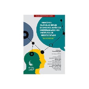 Princípios, Cláusulas Gerais E Conceitos Jurídicos Indeterminados Nos Institutos De Direito Privado