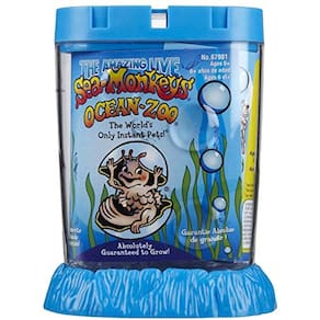 Schylling Sea Monkeys Ocean Zoo - Cores Podem Variar