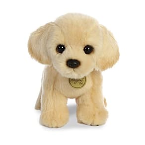 Aurora - Miyoni - Filhote de Laboratório Dourado de 10", Tan