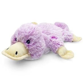 Ornitorrinco Warmies Cozy Pelúcia Lavanda Aquecida Perfumado Animal de Pelúcia