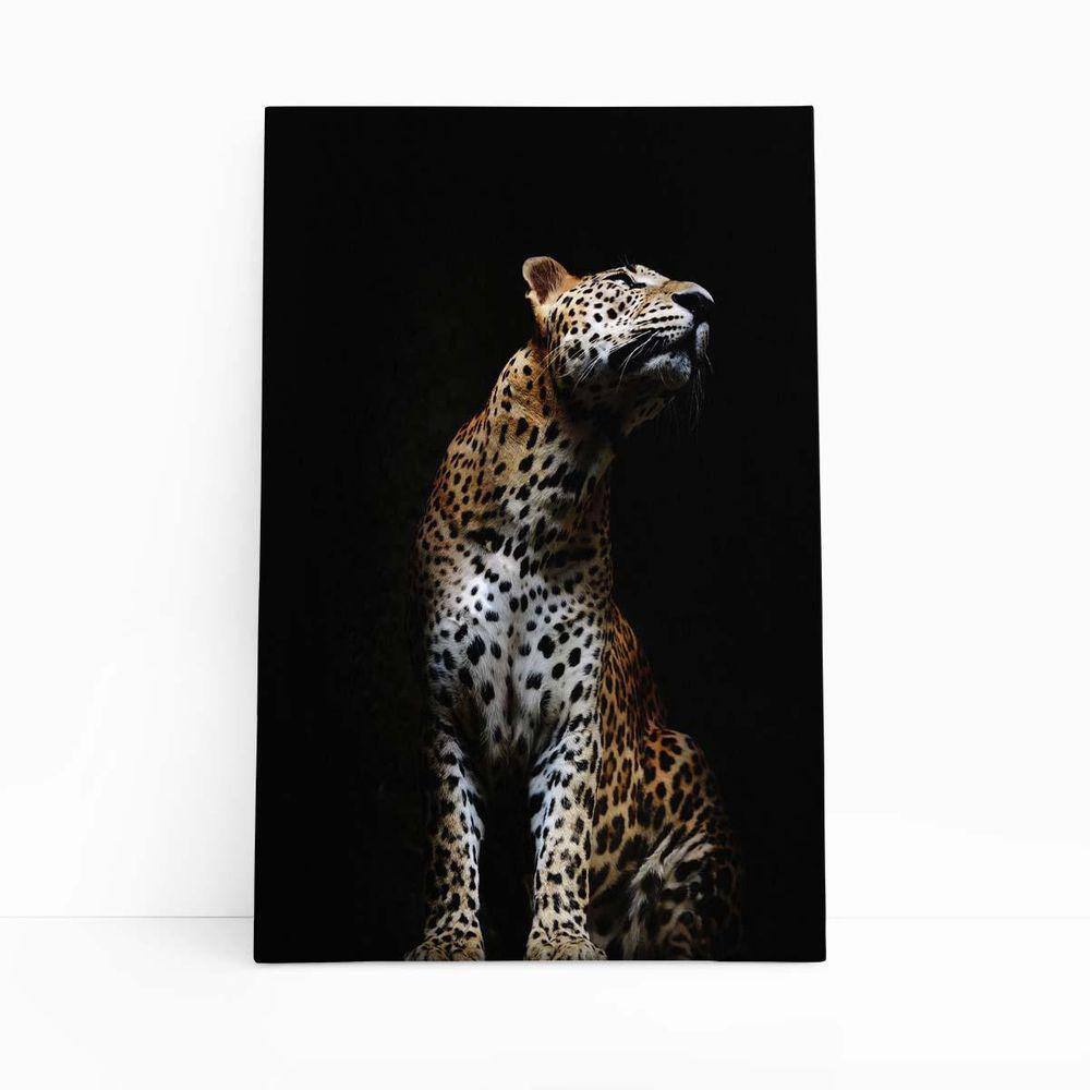 Onça Pintada Fotografia Minimalista Quadro Canvas 60X40Cm
