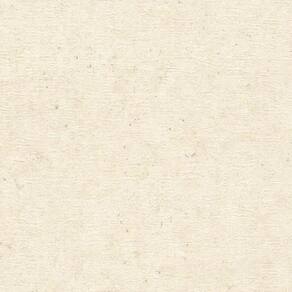 Papel de Parede Concrete Concreto Bege 520835-C