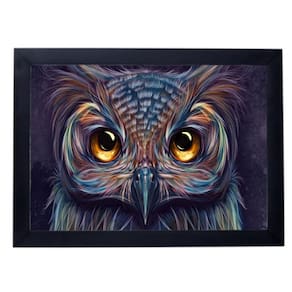 Lindo quadro 24X33 quarto sala coruja p8481