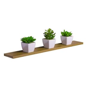 Prateleira 60 x 10cm Freijó Suporte Invisível
