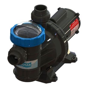 Bomba Centrífuga Para Piscina Sodramar Bm-100 1cv 110v/220v Monofásica 12.95m³/h