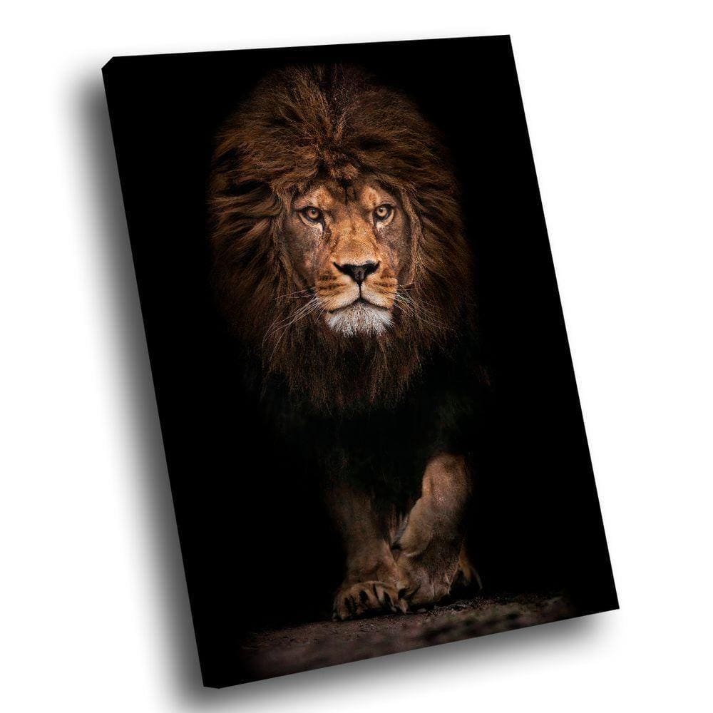 Quadro Leão Assente Br Artes Pequeno 60x40