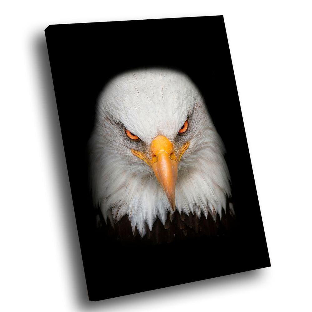 Quadro Visão De águia Br Artes Médio 84x54