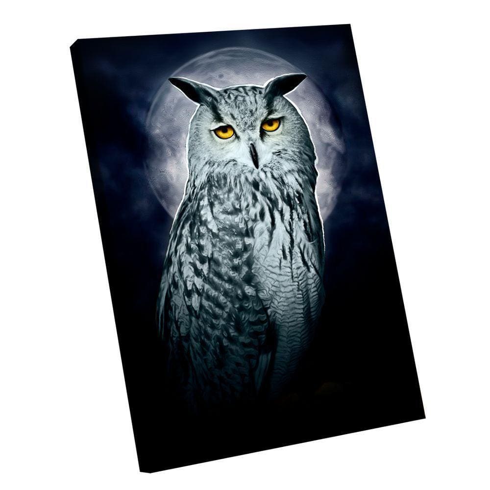 Quadro Coruja Pequeno 60x40