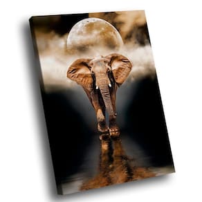 Quadro Elefante Luar Br Artes Grande 118x78