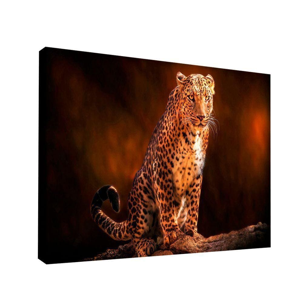 Quadro Leopardo Br Artes Pequeno 60x40
