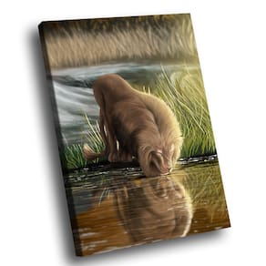Quadro Leão Natureza Br Artes Grande 118x78