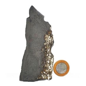 Shungite com Pirita Extra Incrustada Para Coleção 11cm 103g
