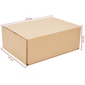 Caixa De Papelão Simples Com 20 Unidades Embalagens 23cm x 16cm x 8.5cm