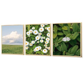 Kit 3 Quadros Decorativos Borboleta Natureza Flores Brancas