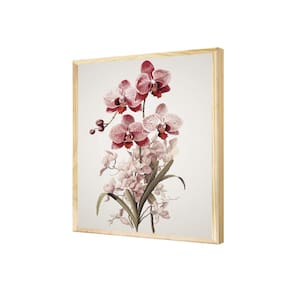 Quadro Moderno Flor Orquídea Rosa Plantas Natureza