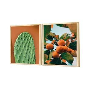 Dupla de Quadros Cacto Plantas Natureza Paisagem Laranjas