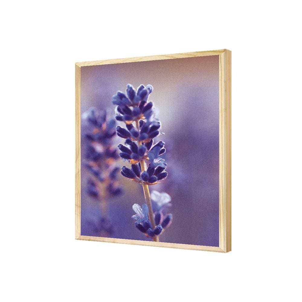 Quadro Decorativo Floral Roxo Plantas Jardim Natureza