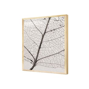 Quadro Ramos Raízes Cinza Natureza Preto e Branco