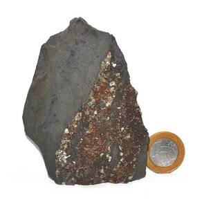 Shungite com Pirita Extra Incrustada Para Coleção 97mm 169g