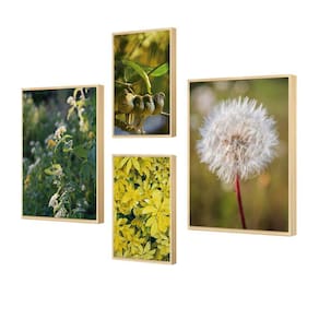Kit 4 Quadros Verdes Foto Paisagens Natureza Plantas Cozinha