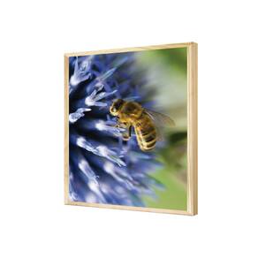 Quadro Decorativo Floral Azul Plantas Jardim Abelha Natureza