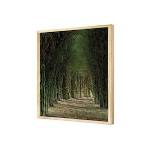 Quadro Decorativo Natureza Paisagem Verde Caminho