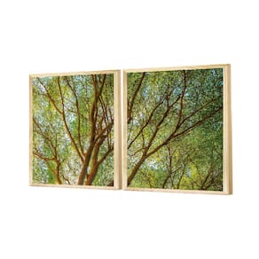 Dupla Quadros Decorativos Árvore Plantas Natureza Paisagem