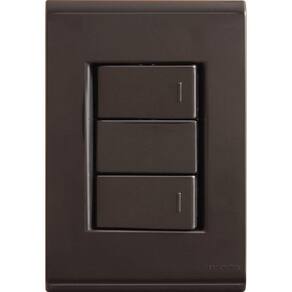 Conjunto 4x2 Com 2 Interruptores Simples 10 A 250 V Tramontina Liz Grafite Tramontina