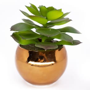 Vaso Decorativo Dourado com Suculenta Artificial Sedum Hirsutum 12x8 cm F04 - D`Rossi