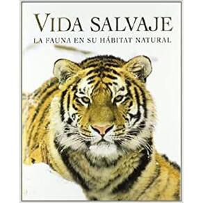 Vida Salvaje La Fauna En Su Hábitat Natural