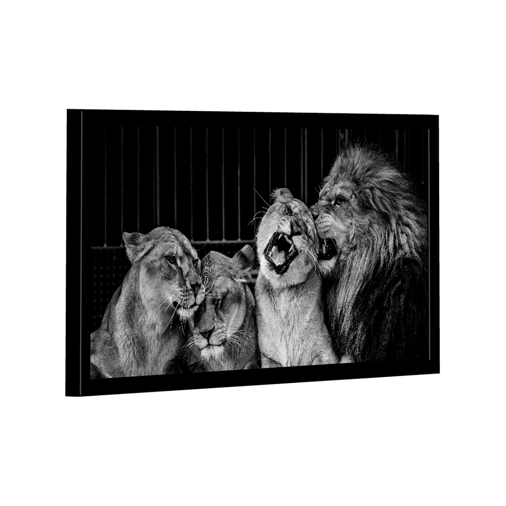 Quadro Lion Family Love -- BR ARTES