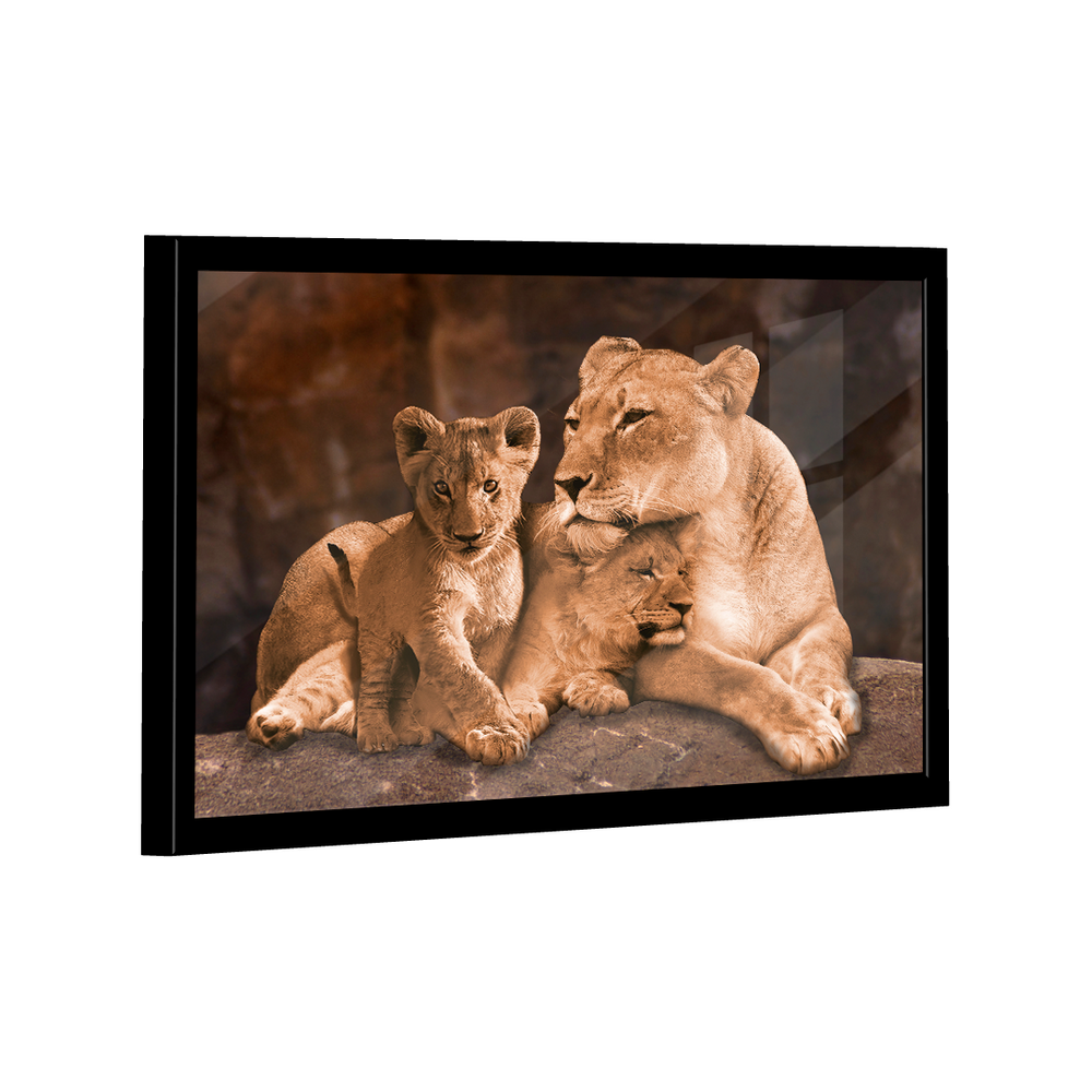 Quadro Leoa e 2 Filhotes -- BR ARTES