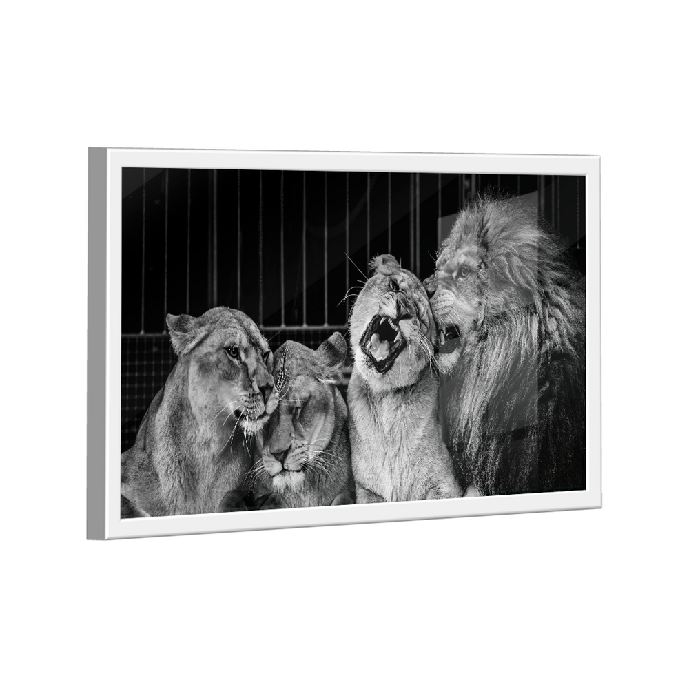 Quadro Lion Family Love -- BR ARTES