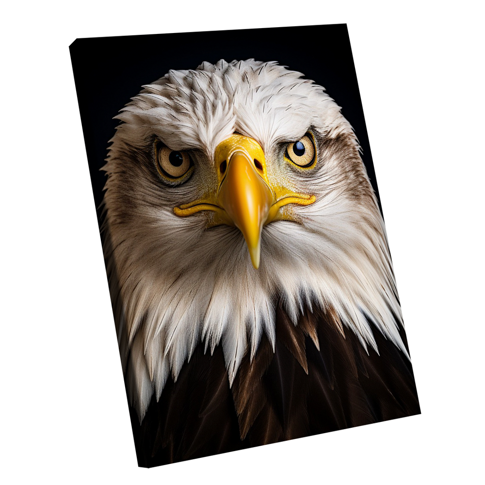 Quadro Águia de Cabeça Branca -- BR ARTES