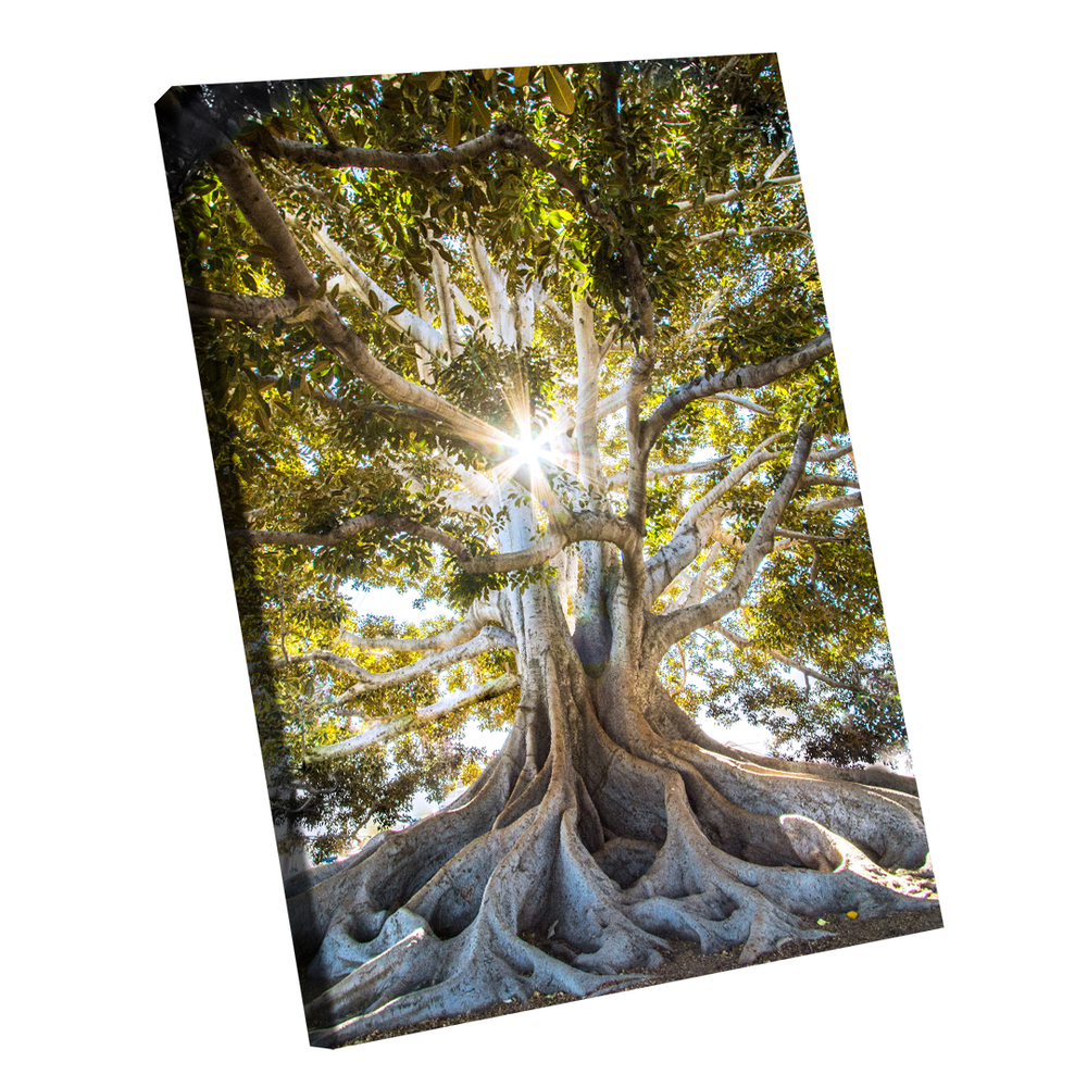 Quadro Árvore Presença Pequeno 60x40