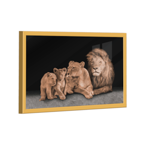 Quadro Perfect Family Variação -- BR ARTES