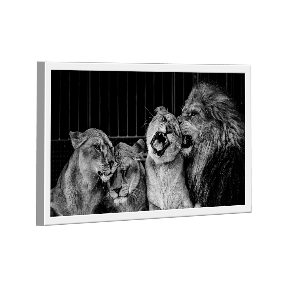 Quadro Lion Family Love -- BR ARTES