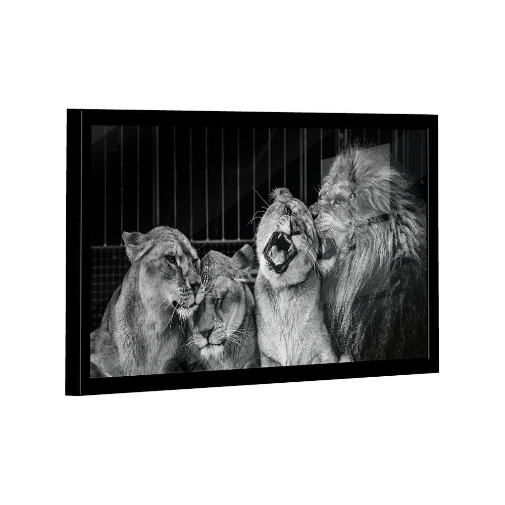 Quadro Lion Family Love -- BR ARTES