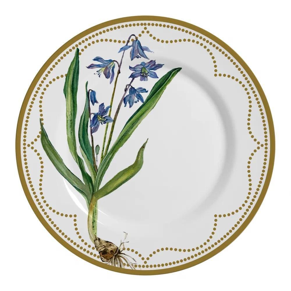 Prato Raso Bulbo Alleanza 6 un