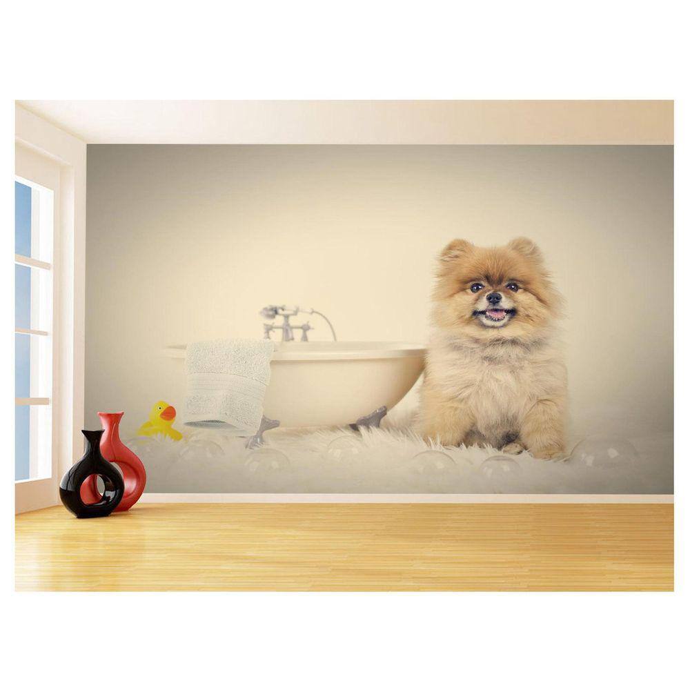 Papel De Parede Animal Cão Petshop Banho Tosa 3,5M Anm391