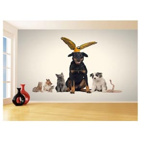 Papel De Parede 3D Animais Cão Gato Arara Pet 3,5M Anm411