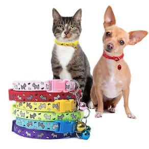 Cute Cat Collars Puppy Kitten Colar Cão Colar De estimação Suppl