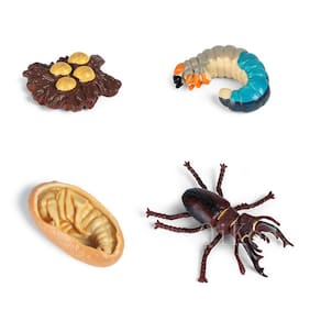 Simulação de Figuras de Ação do Modelo do Ciclo de Crescimento Animal(#Animal