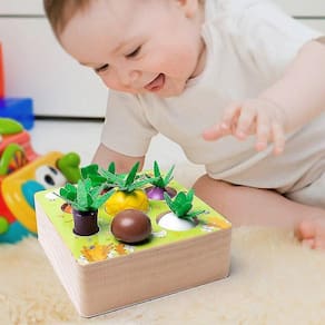 Playset Brinquedos de Madeira Bebê Puxar Cenoura Forma Match Size Cognit