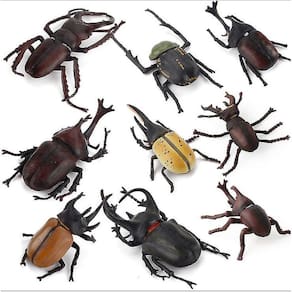 Simulação Limb Insect Animal Model, cobra Mantis Beetle Areia
