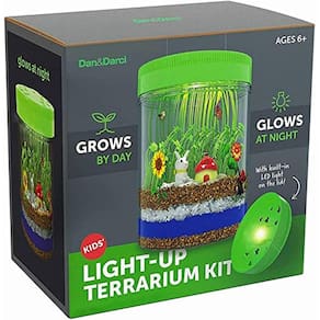 Kit Terrarium Light-Up para Crianças - STEM Activities Science